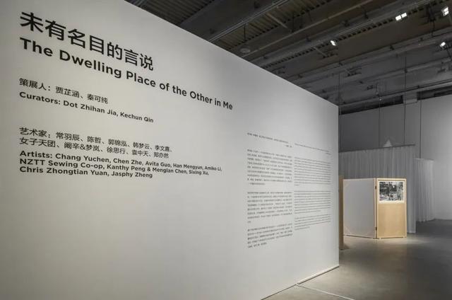 双展启幕，上海当代艺术博物馆明日恢复开放(图4)