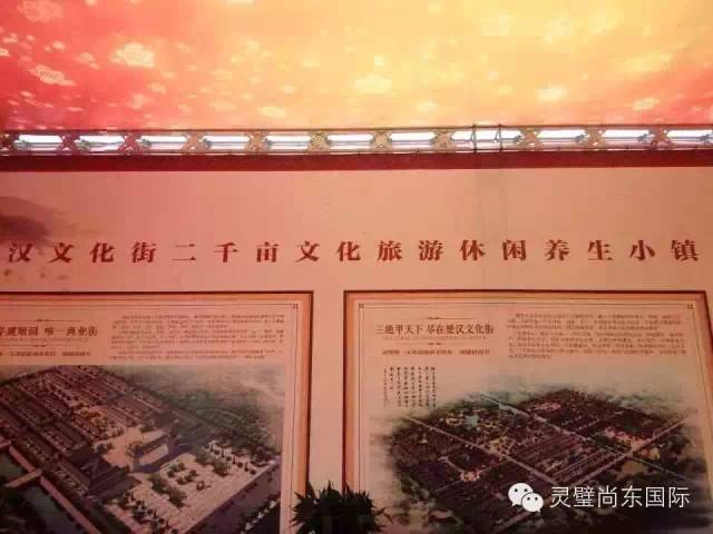 她为什么这样火？——解析尚东国际房展会“围攻”现象(图5)