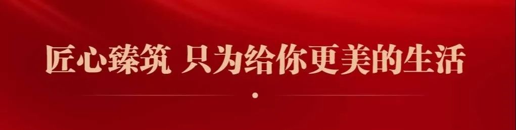 盛况再现！2020达州房展会，盛煌·南城国际再次绽耀全城！(图9)