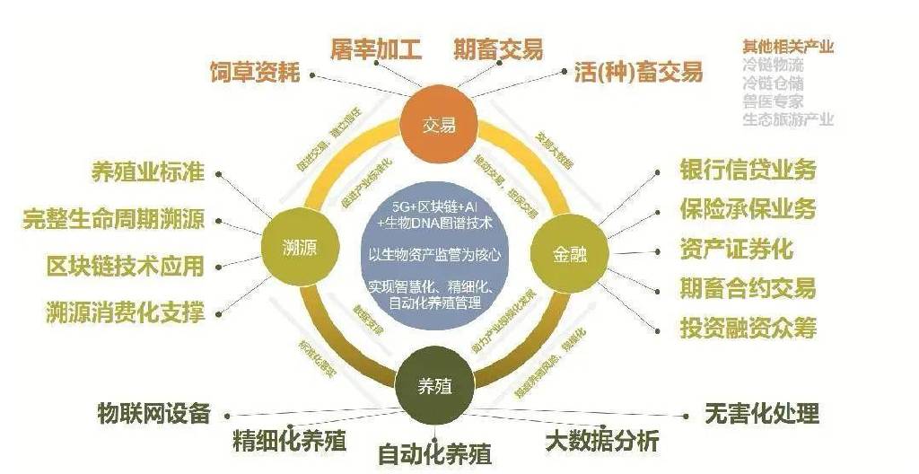 焦点发展供应链金融赋能助力乡村振兴三农产业(图6)